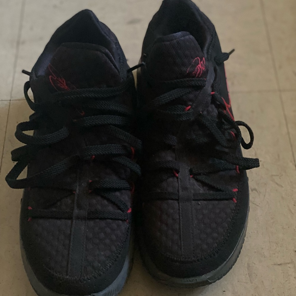 Lebron 17 lows Bred